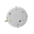 D8T-6.png